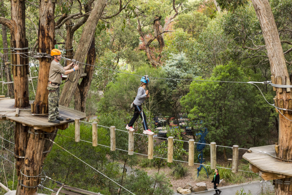 The Best Outdoor Adventure Spots In And Around Melbourne Insider Guides