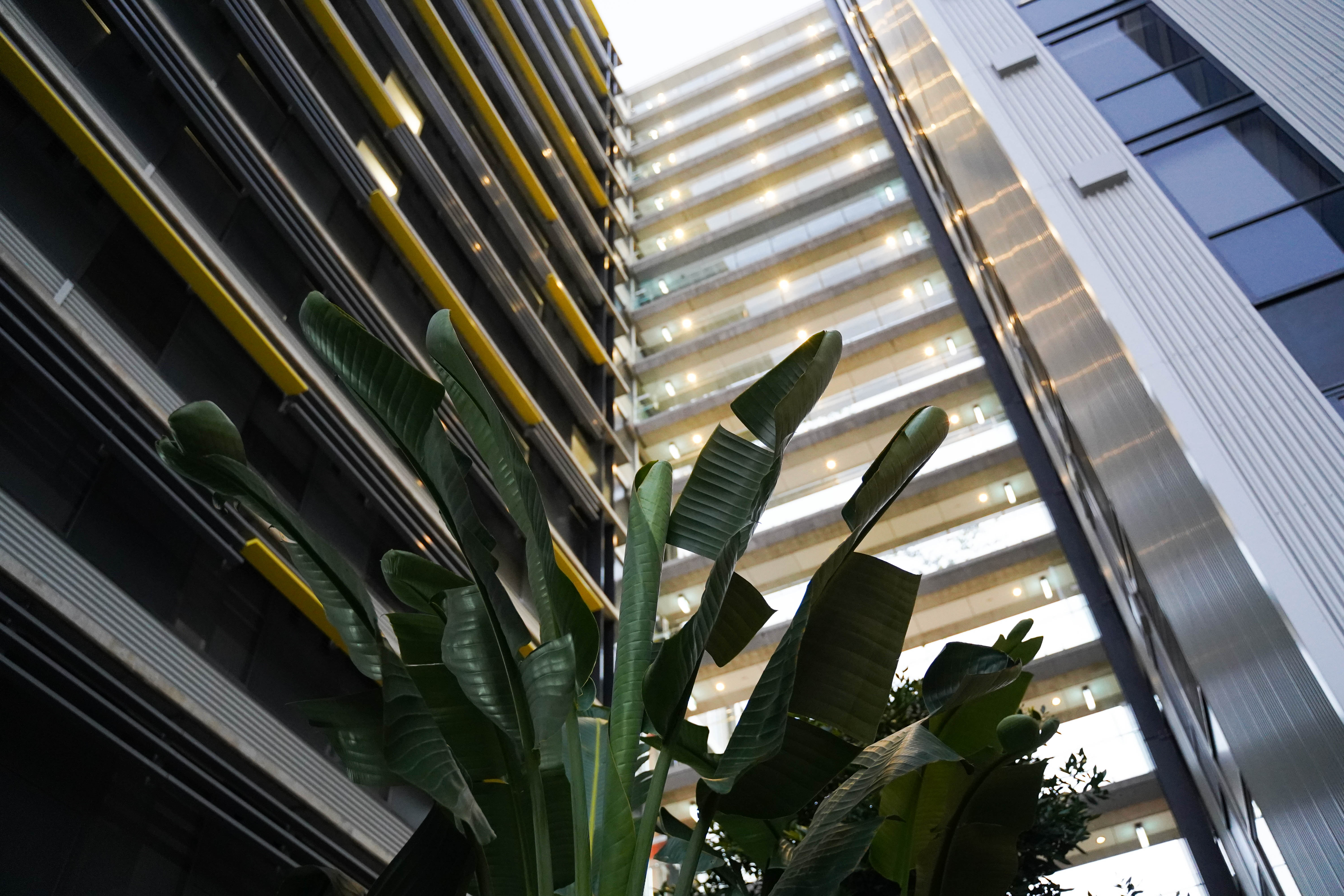 Brisbane Event - Insider Guides - -14
