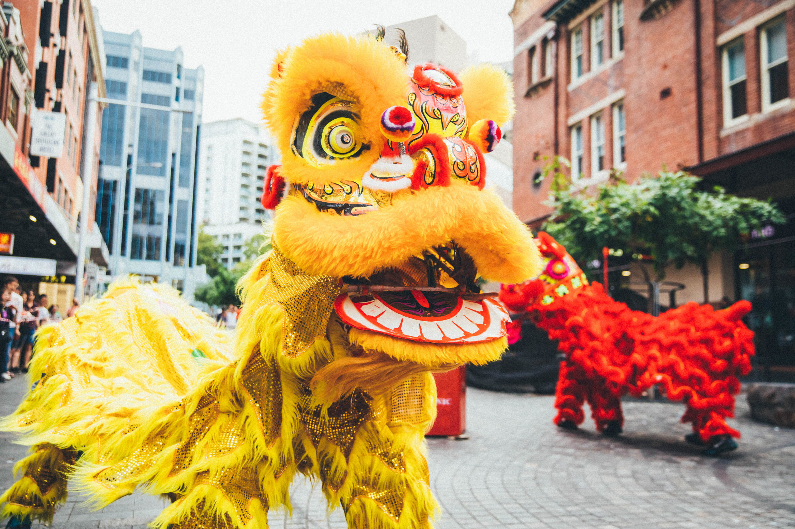 Chinese New Year in Australia Insider Guides